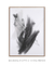 Quadro Decorativo Abstrato Soft Minimal Black Strokes 03 - comprar online