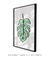 Quadro Decorativo Costela de Adão Verde - Rachel Moya | Art Studio - Quadros Decorativos