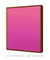 Quadro Decorativo Degradê Rosa Magenta Quadrado - loja online