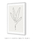 Quadro Decorativo Minimal Leaf 02 - Rachel Moya | Art Studio - Quadros Decorativos