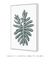 Quadro Decorativo Monstera Minimalista - Rachel Moya | Art Studio - Quadros Decorativos