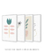 Conjunto com 4 Quadros Decorativos - Another Modern Flower + Flower Minimal + Vaso Rosa + Ramo Minimalista - Rachel Moya | Art Studio - Quadros Decorativos