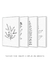 Conjunto com 4 Quadros Decorativos - Ramo Fine Line 01 + Ramo Fine Line 02 + Ramo Fine Line 03 + Ramo Fine Line 04 - Rachel Moya | Art Studio - Quadros Decorativos