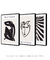 Conjunto com 3 Quadros Decorativos - Inspirado Matisse Nu Noir + Inspirado Matisse Rosto Noir + Inspirado Matisse Botânico Cut Outs Noir I