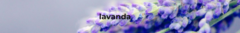 Banner de la categoría LAVANDA