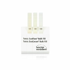 Composite Tetric N-Flow Bulk Fill 2g Ivoclar - comprar online