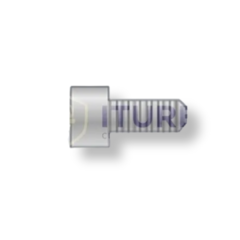 Tornillo Titanio Protésico Para Pilar Multi Unit PMU-450-200 Byw Implantes