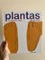 PLANTAS DE LOS PIES