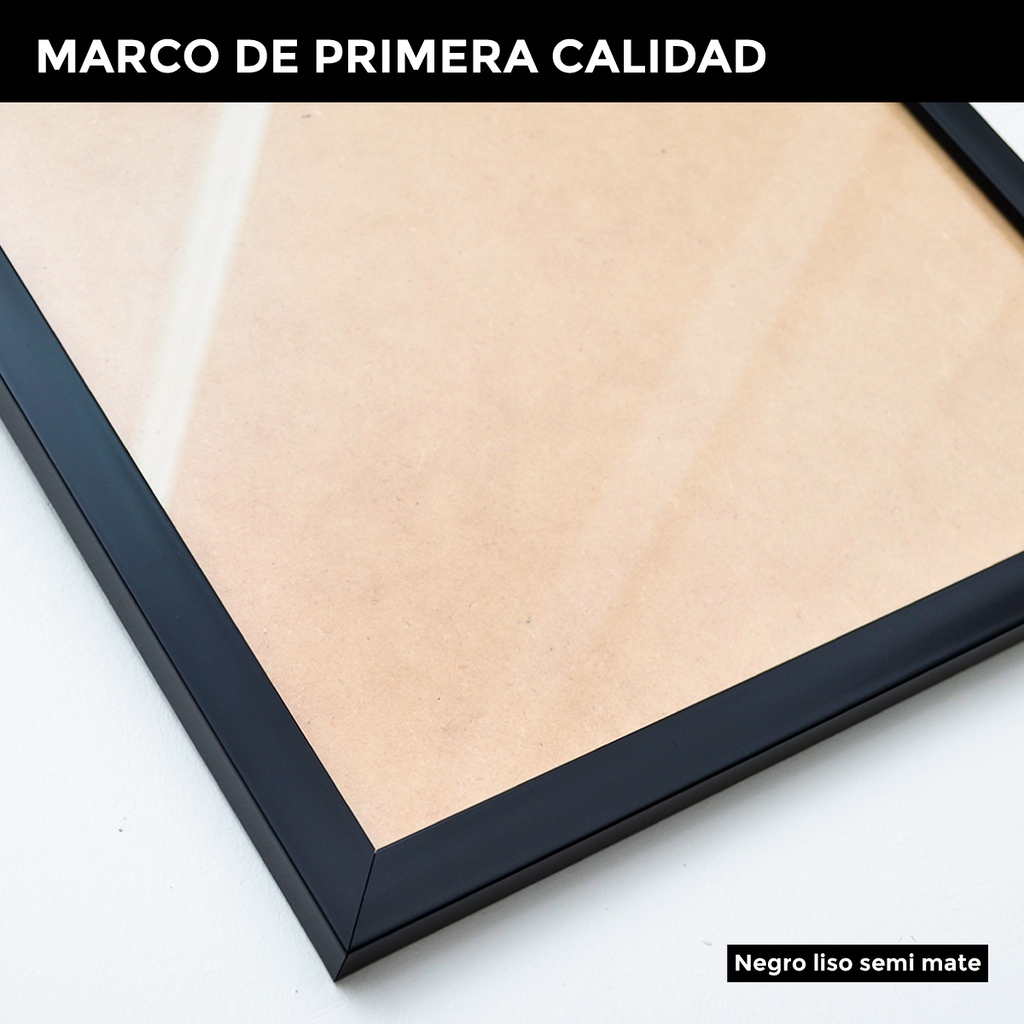 Marcos Box 40x50 Negro Con Vidrio Y Tapa Calidad Y Precio