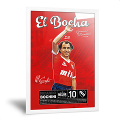 El Bocha en internet