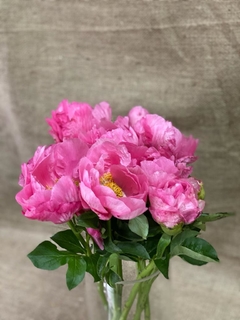Peonías ✱ Seasonal Flowers - comprar online