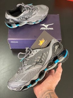 Mizuno Wave prophecy 8