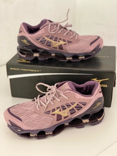 Mizuno wave prophecy 9