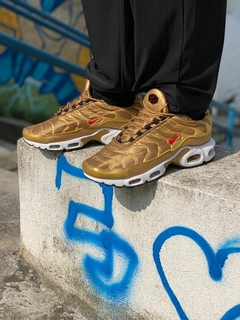 AIR MAX TN na internet