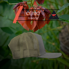 PHAROS | CEIBO - tienda online
