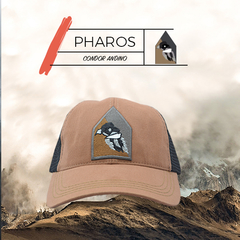 PHAROS | Condor - comprar online