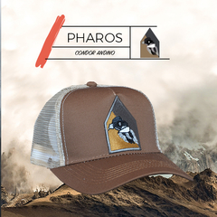 PHAROS | Condor