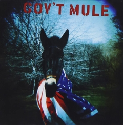 GOVT MULE - GOVT MULE