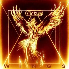 PICTURE - WINGS (SLIPCASE)