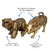 Kit Enfeites Touro e Urso de Wall Street Grandes - Resina - comprar online