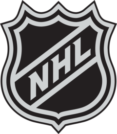 Banner de la categoría Casaca Hockey NHL