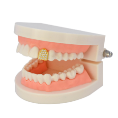 Parrilla para Dientes Individual Grillz ICE Full Strass Zircon Dorado en internet