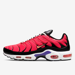 Zapatillas Nike Air Max Plus 9us - 350usd