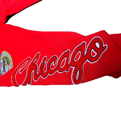 Pantalon Chicago Bulls Pro Standard Original Importada - 165 USD - comprar online