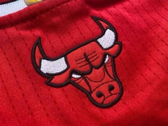 Imagen de Musculosa Casaca NBA Chicago Bulls 23 Jordan Adidas