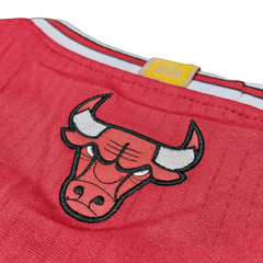 Musculosa Casaca NBA Chicago Bulls 23 Jordan Adidas - comprar online