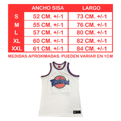 Musculosa Casaca NBA Tune Squad 23 Jordan Black - tienda online