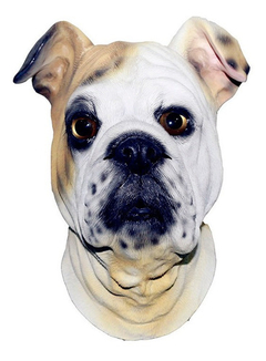 Mascara De Latex Perro Bulldog Ingles Importadas
