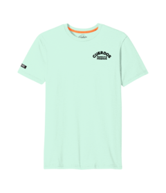 Remera Friends Verde Agua