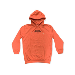 Buzo Hoodie Turbulence Ladrillo