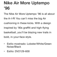 Zapatillas Nike More Uptempo I Got Next - 400usd en internet