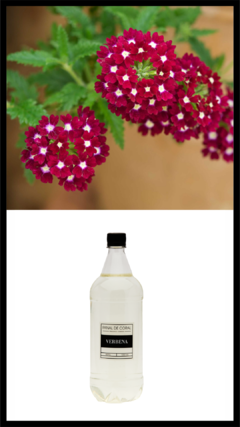 REFILL VERBENA