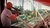 PS4 Hitman 2 - Geek Spot