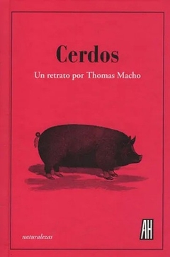 Cerdos. Un retrato por Thomas Machado