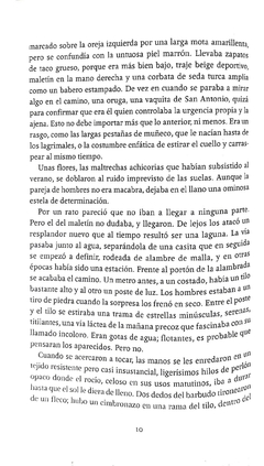 El testamento de O'jaral - Marcelo Cohen en internet