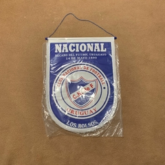 Flamula Nacional Uruguai