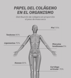 COLÁGENO HIDROLIZADO GRANGER - TuReparto