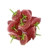 FRUTILLAS CON CABO - comprar online