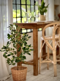 Imagen de PLANTA ARTIFICIAL ARBOL FICUS CHICO