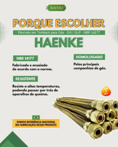 Flexivel Cobre Rosca 1/2 Fêmea Giratória x 1/2 Macho Fixo Conforme NBR 14177 -Haenke (Veja Tamanhos Nas Variações) - comprar online