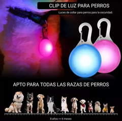 LUZ LED PARA COLLAR