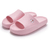 Art. 227D Pantuflona en internet