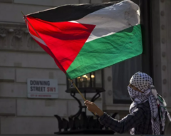 Bander Palestina Mediana en internet