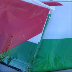 Bander Palestina Mediana - Habibis Remeras