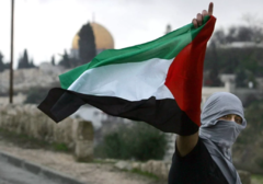 Bander Palestina Mediana - tienda online