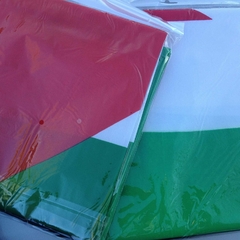 Bandera Palestina chica - tienda online